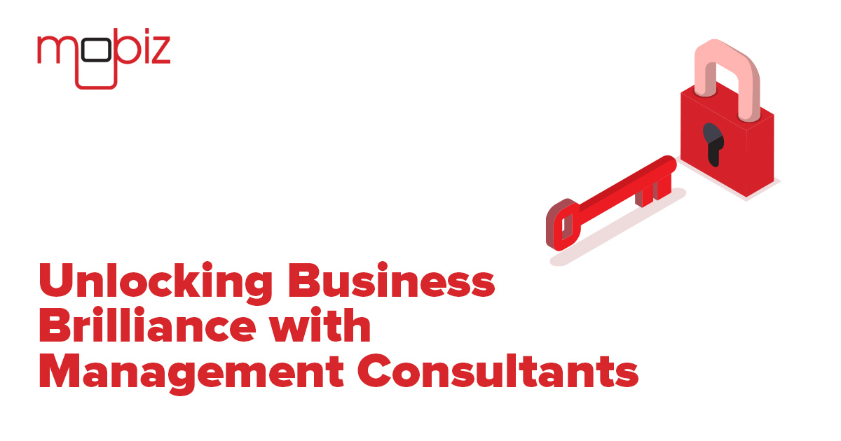Business Brilliance with Management Consultants